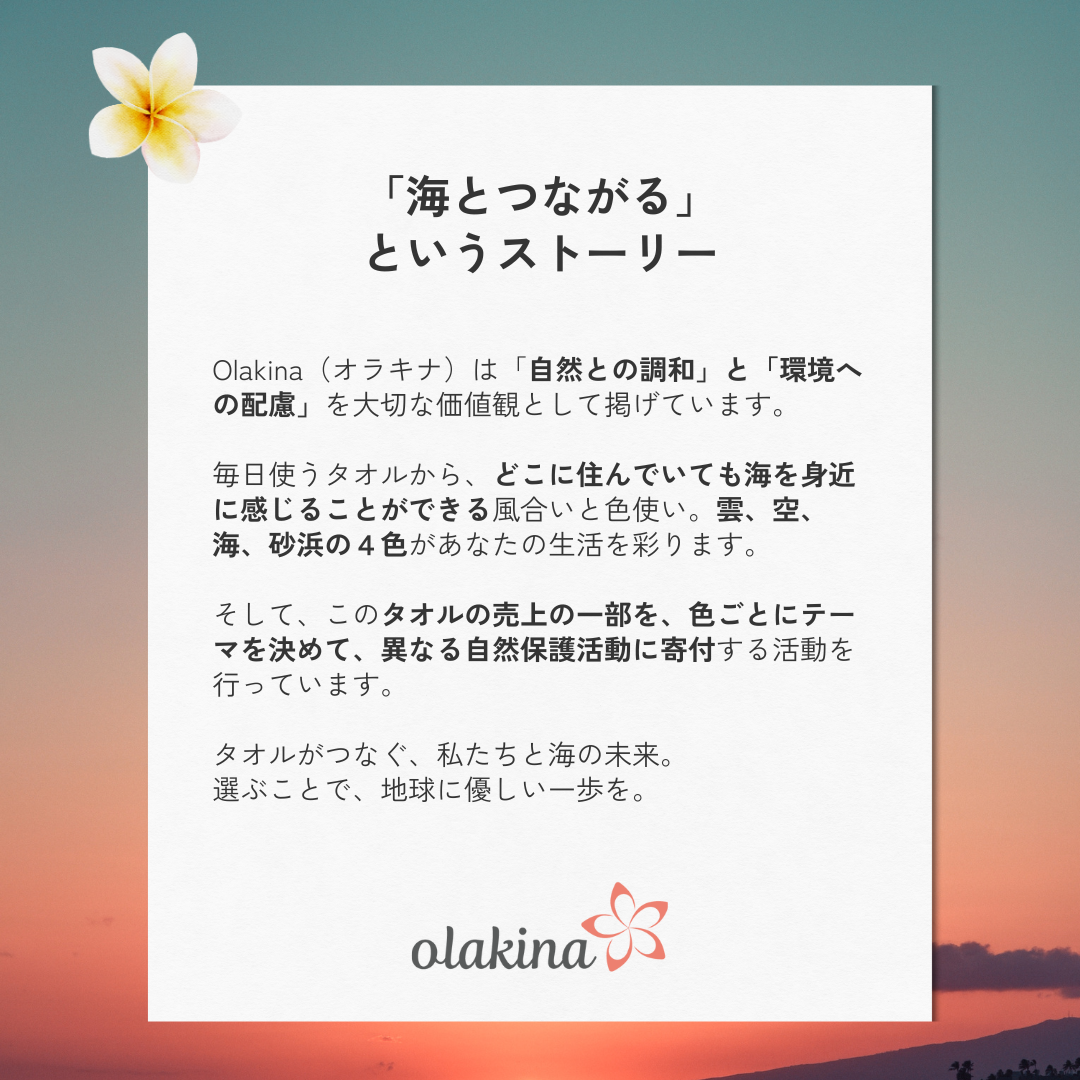 海とつながる今治タオル